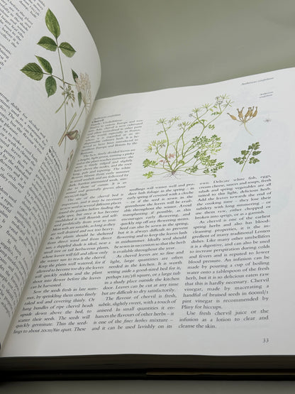 The Herb & Spice Book by Sarah Garland