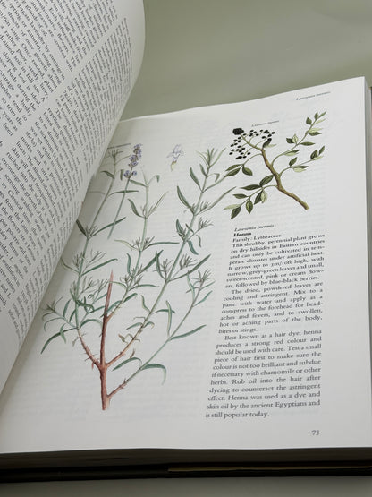 The Herb & Spice Book by Sarah Garland