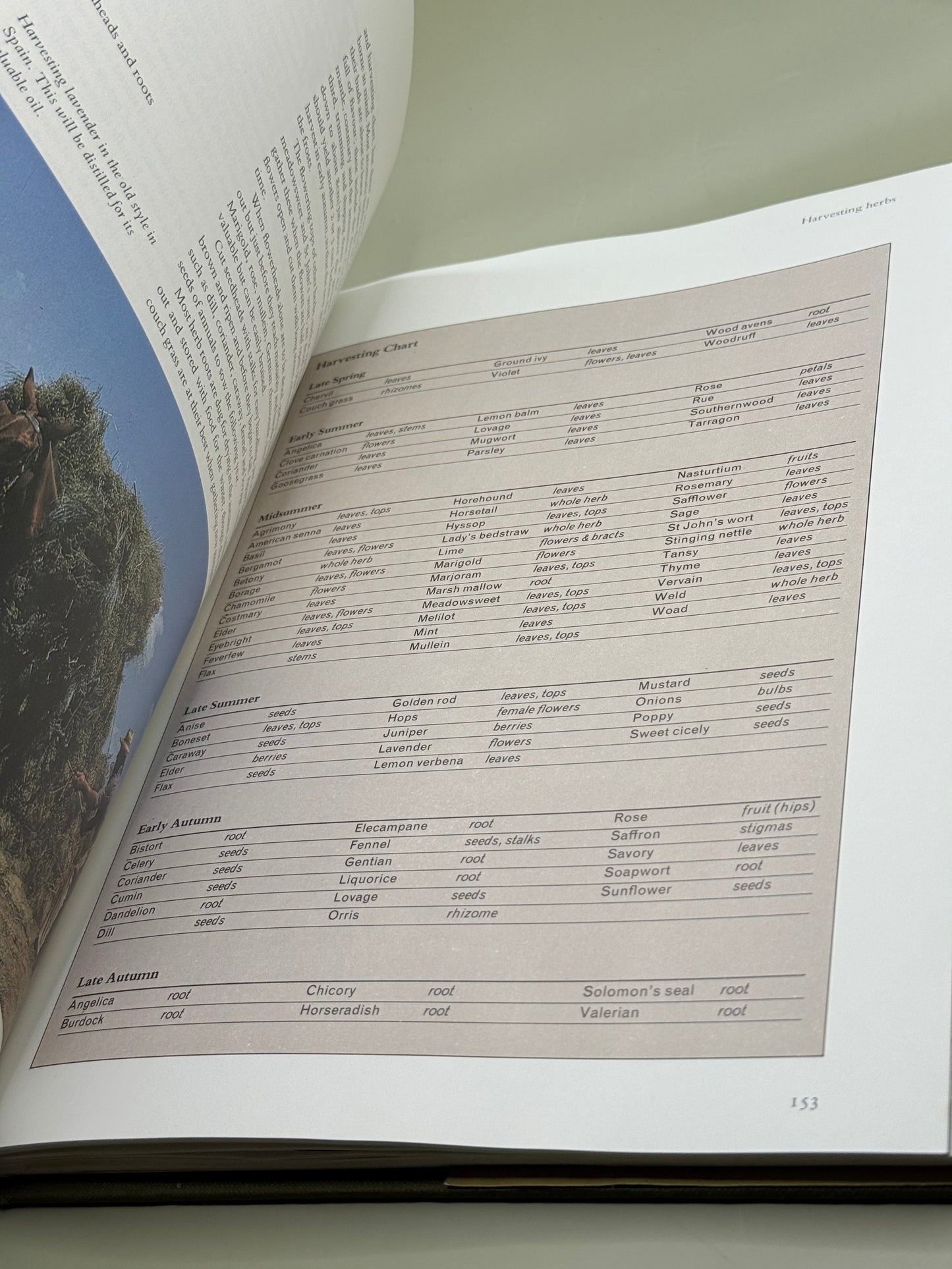 The Herb & Spice Book by Sarah Garland