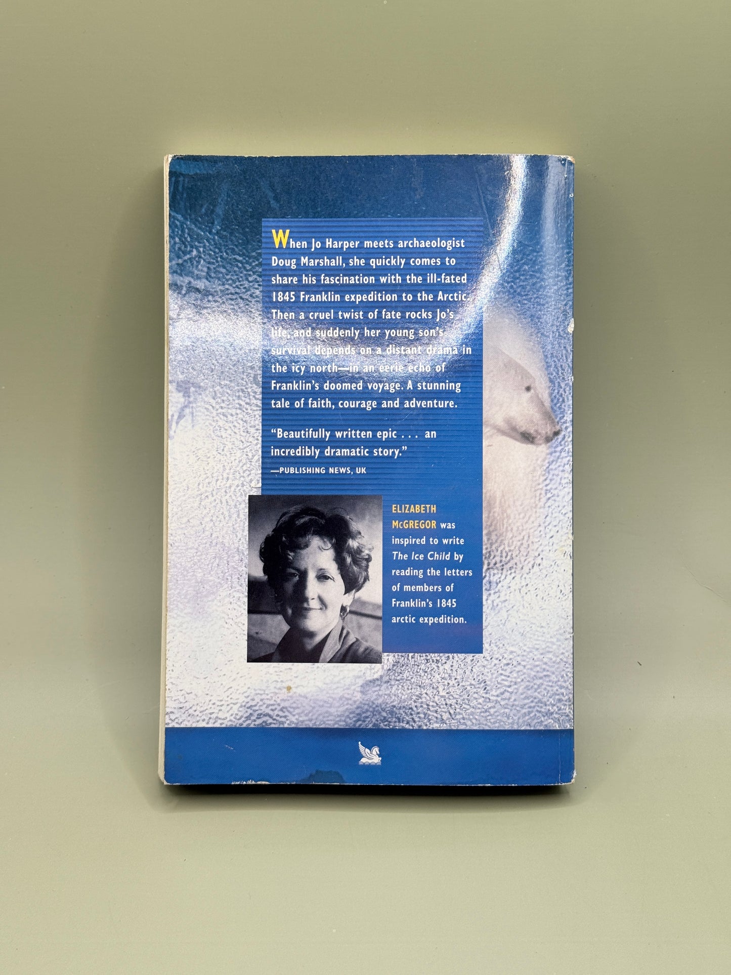 The Ice Child by Elizabeth McGregor