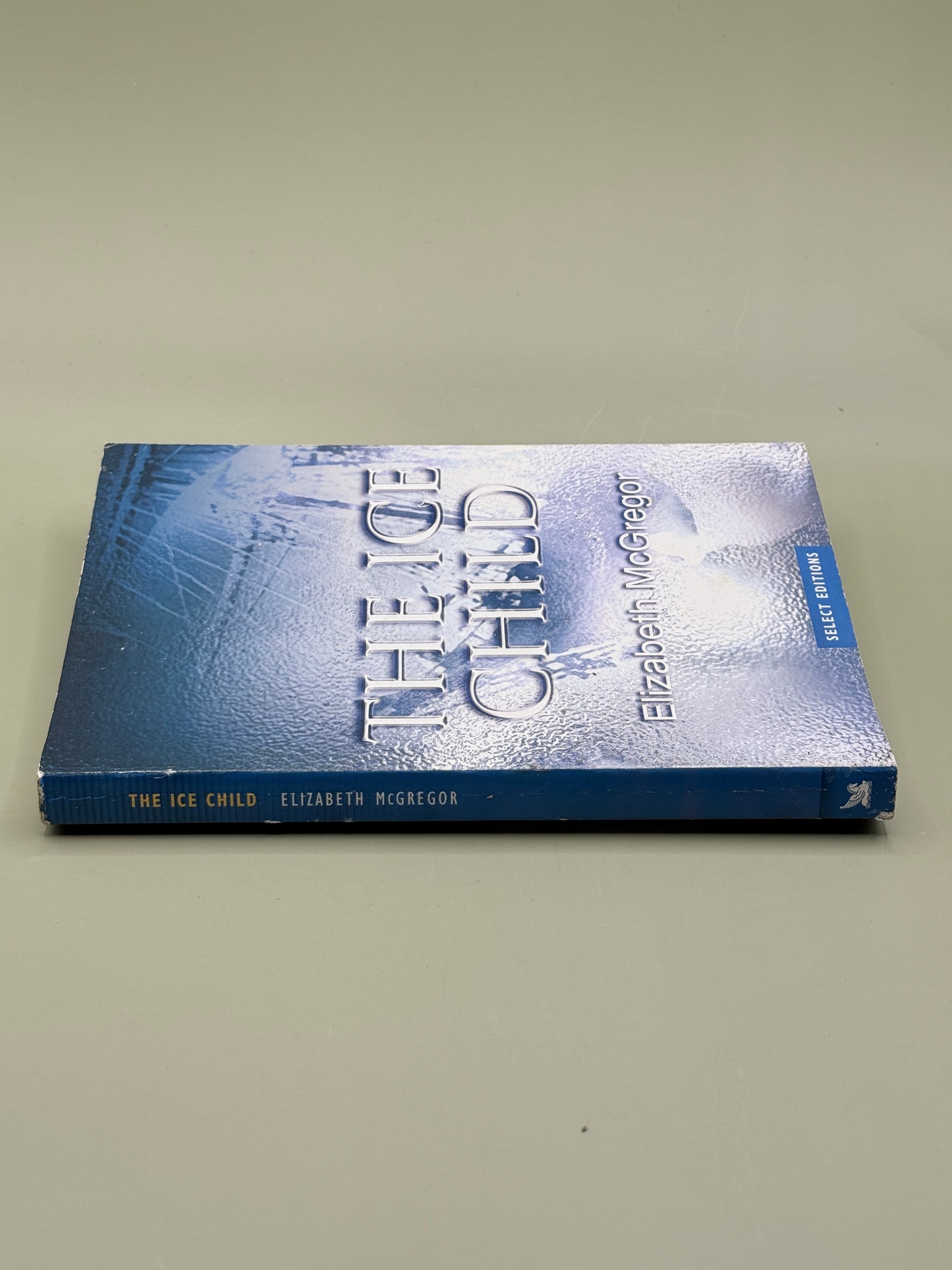 The Ice Child by Elizabeth McGregor