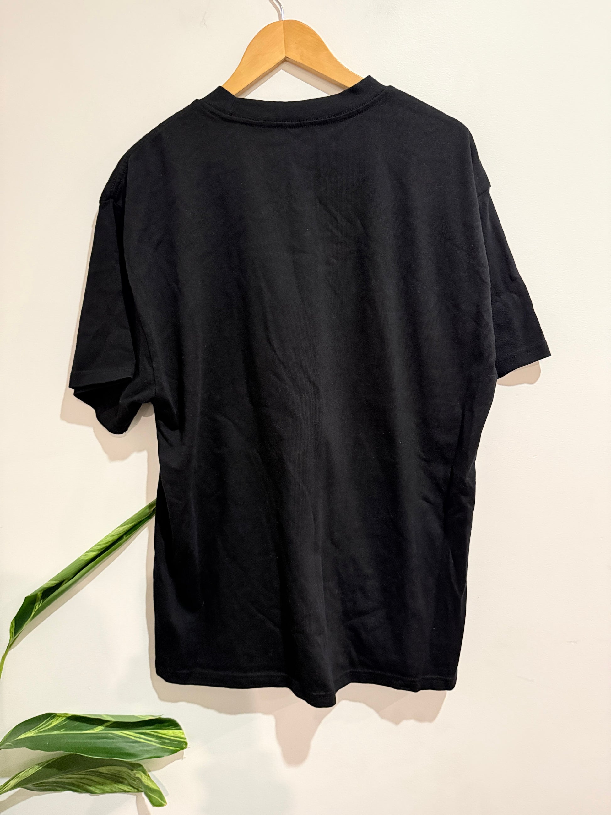 Ascolour Graphic Tee Size L