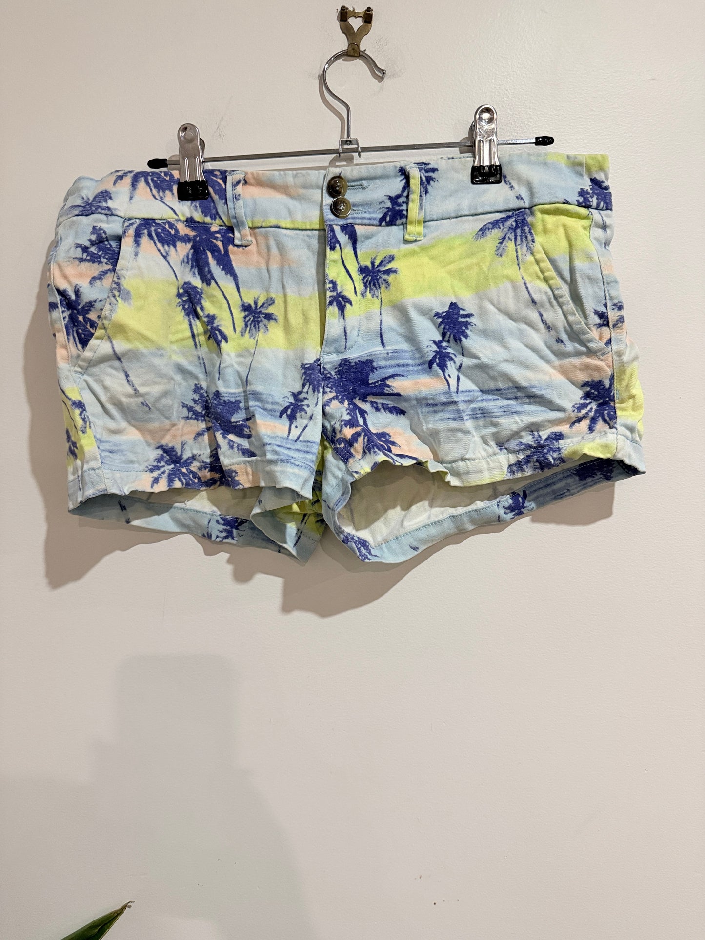 Garage Beach Shorts Size 10