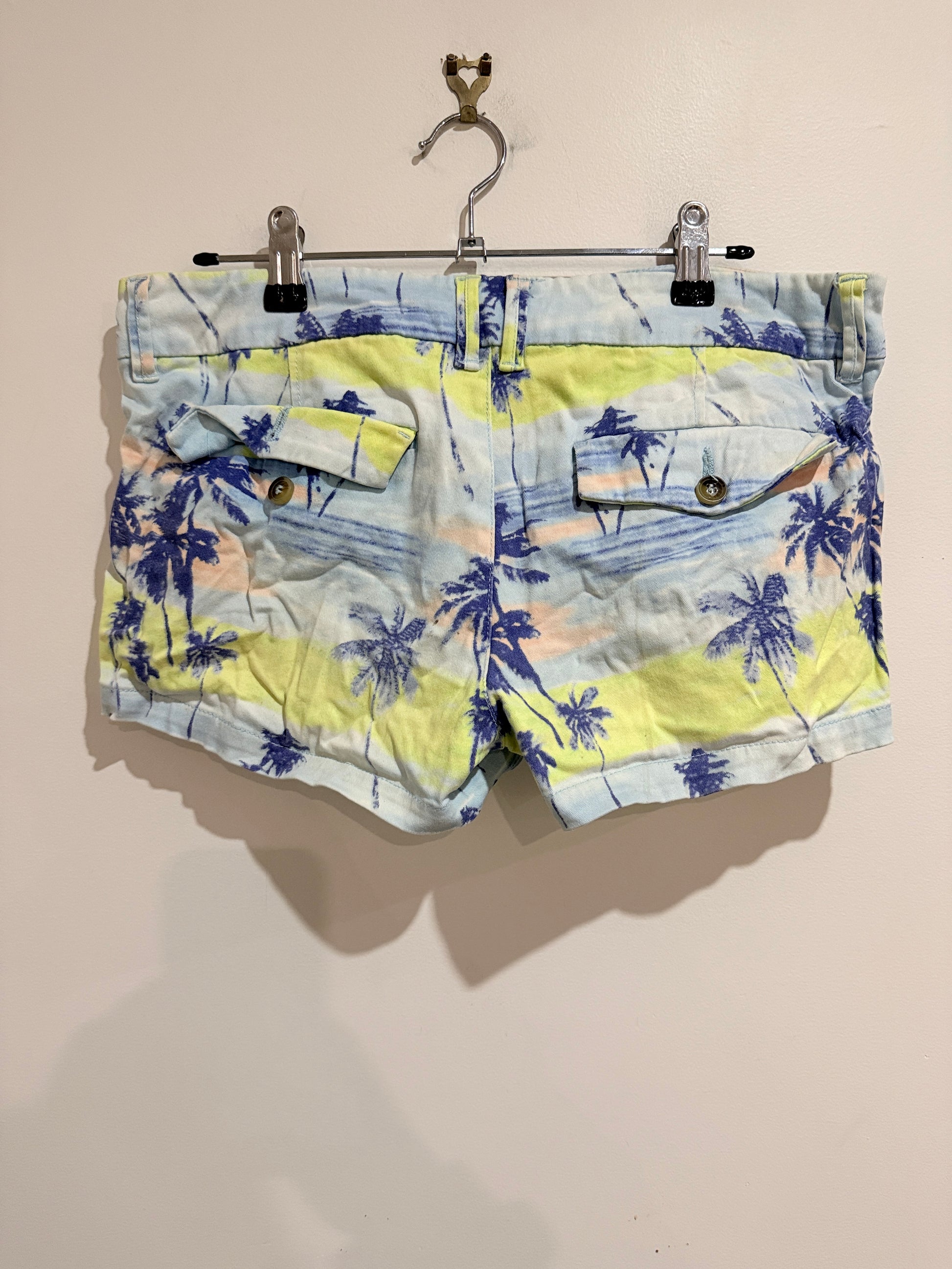 Garage Beach Shorts Size 10