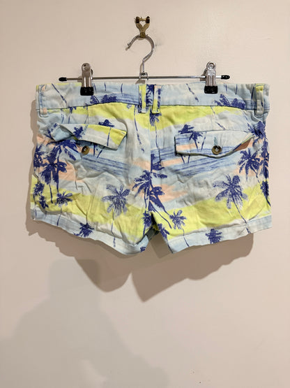 Garage Beach Shorts Size 10