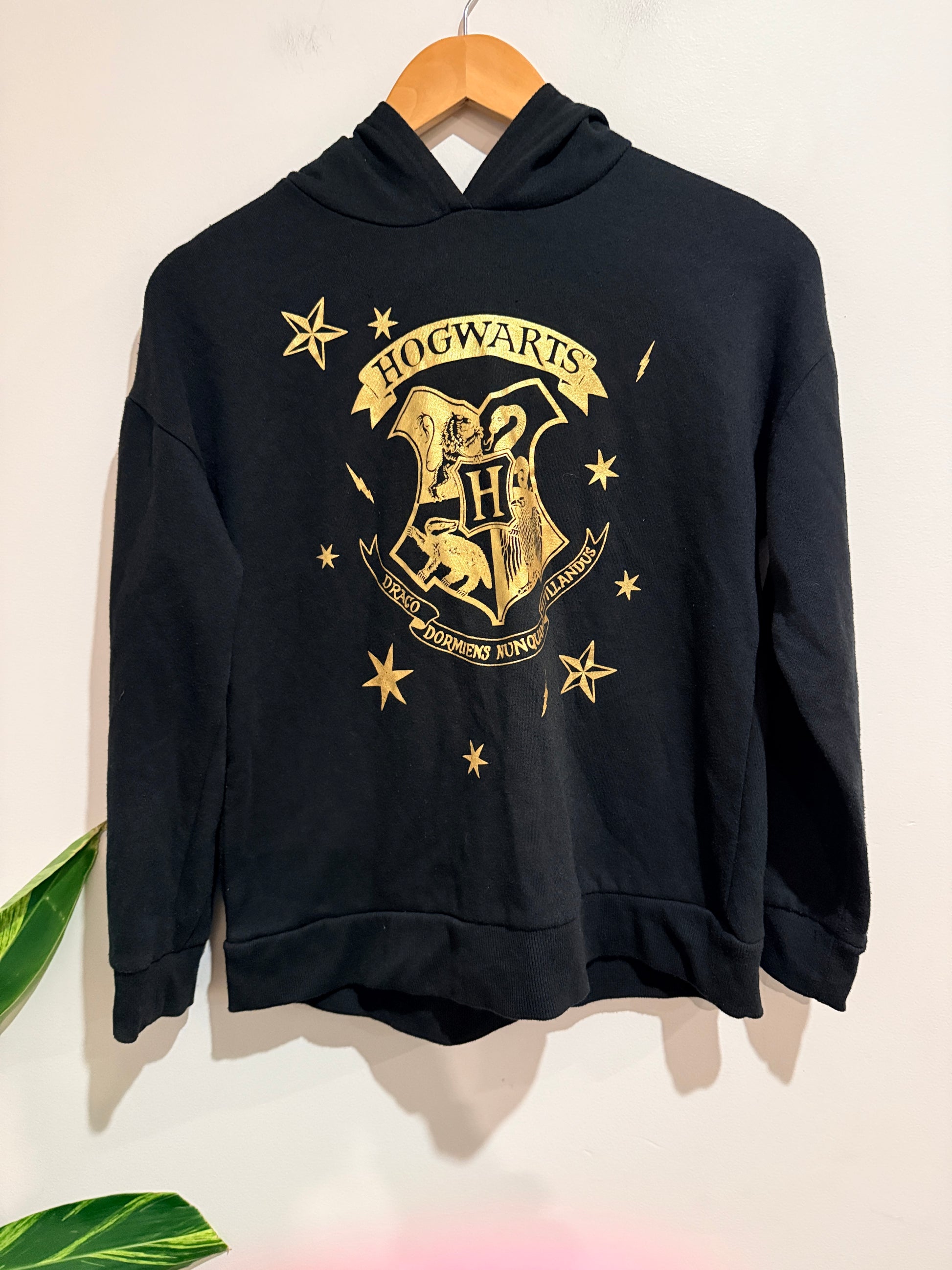 Harry Pullover Hoodie Size 16