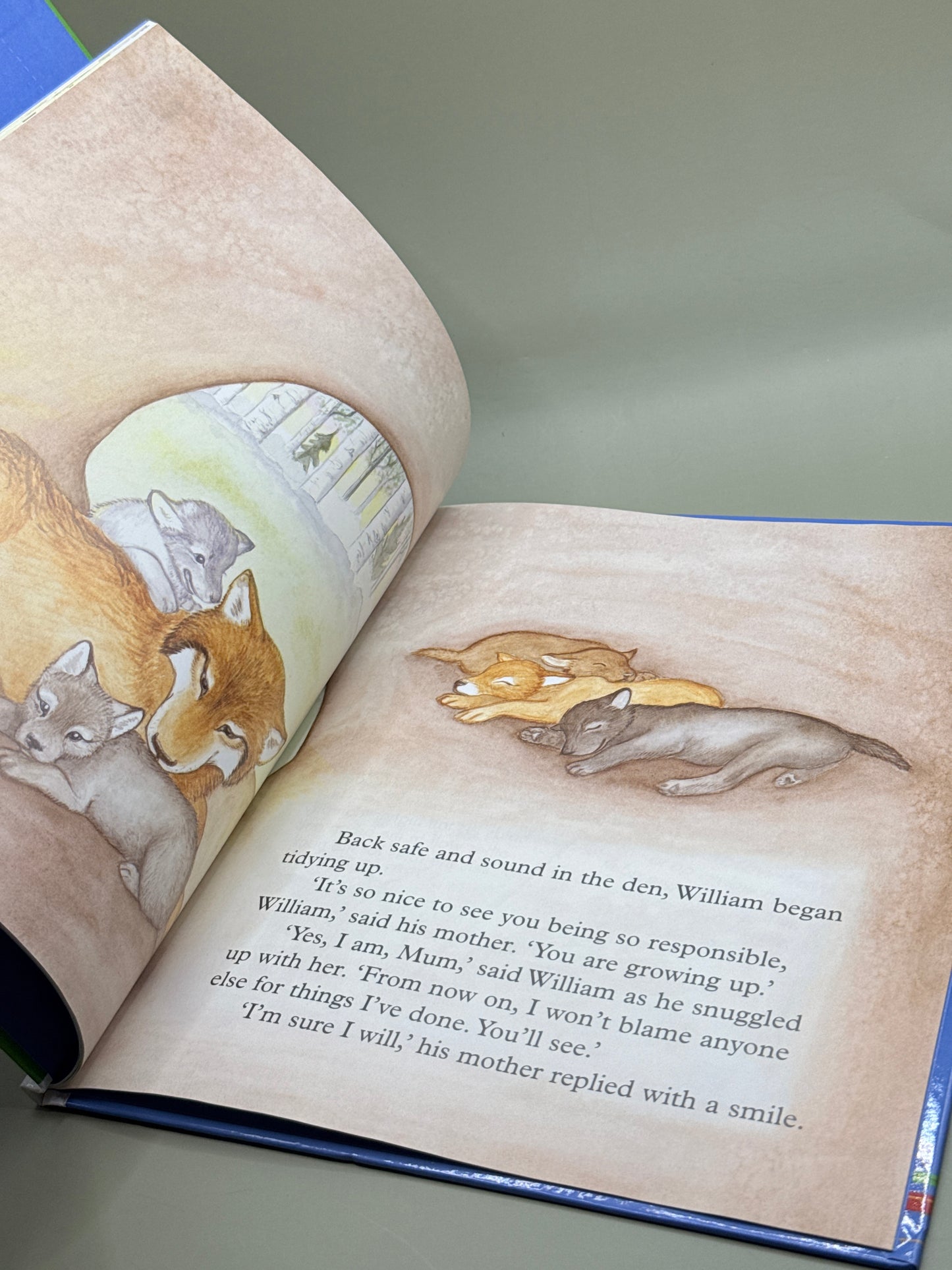 Don't Blame Others Little Wolf by Readers Digest