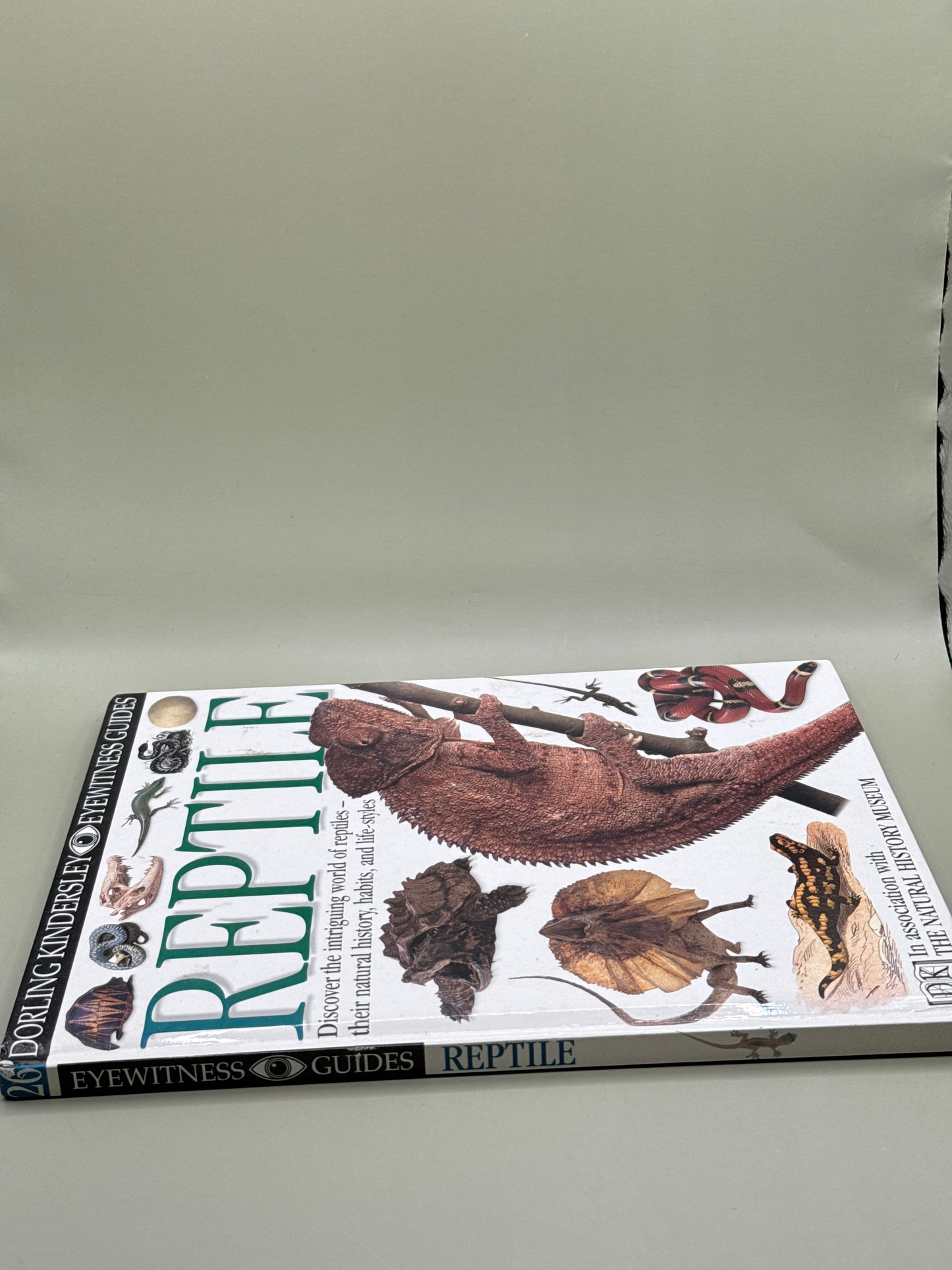 DK Eyewitness Guides: Reptile