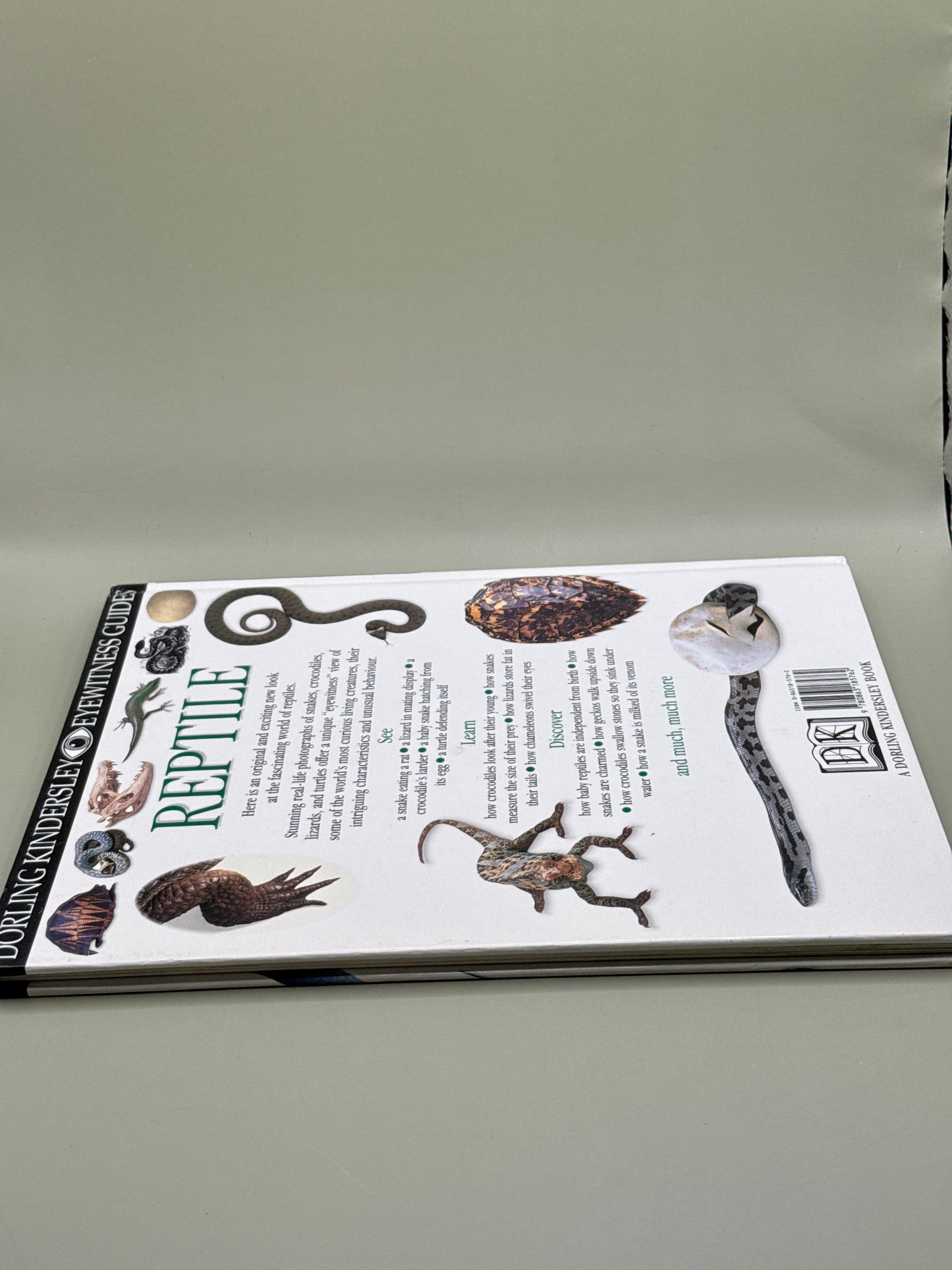 DK Eyewitness Guides: Reptile
