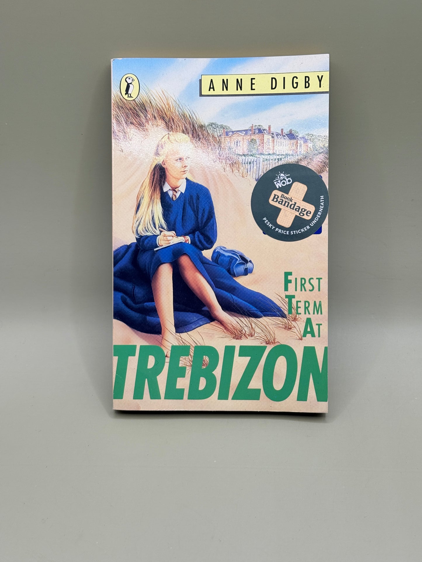 First Term at Trebizon by Anne Digby