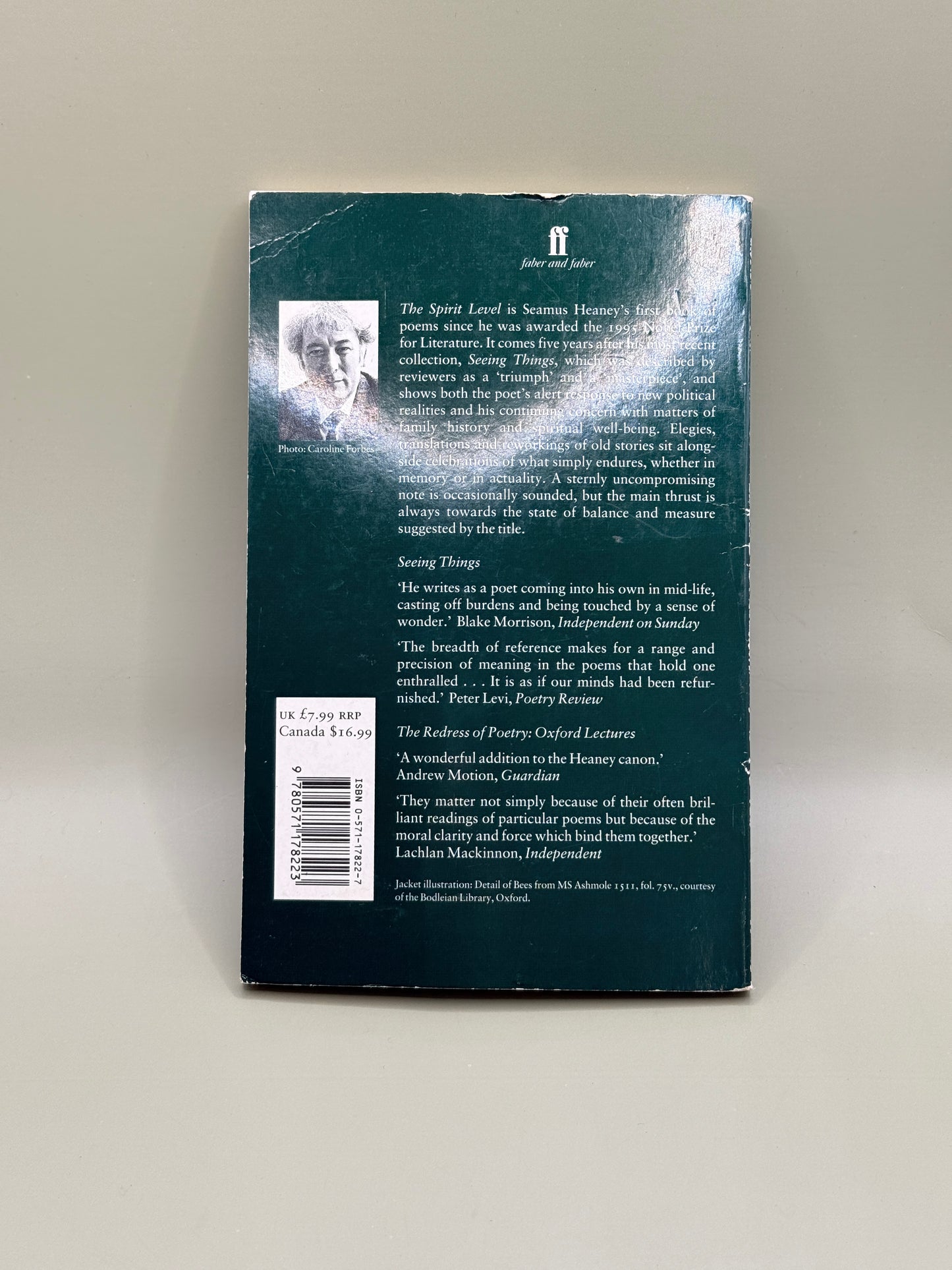 The Spirit Level by Seamus Heaney