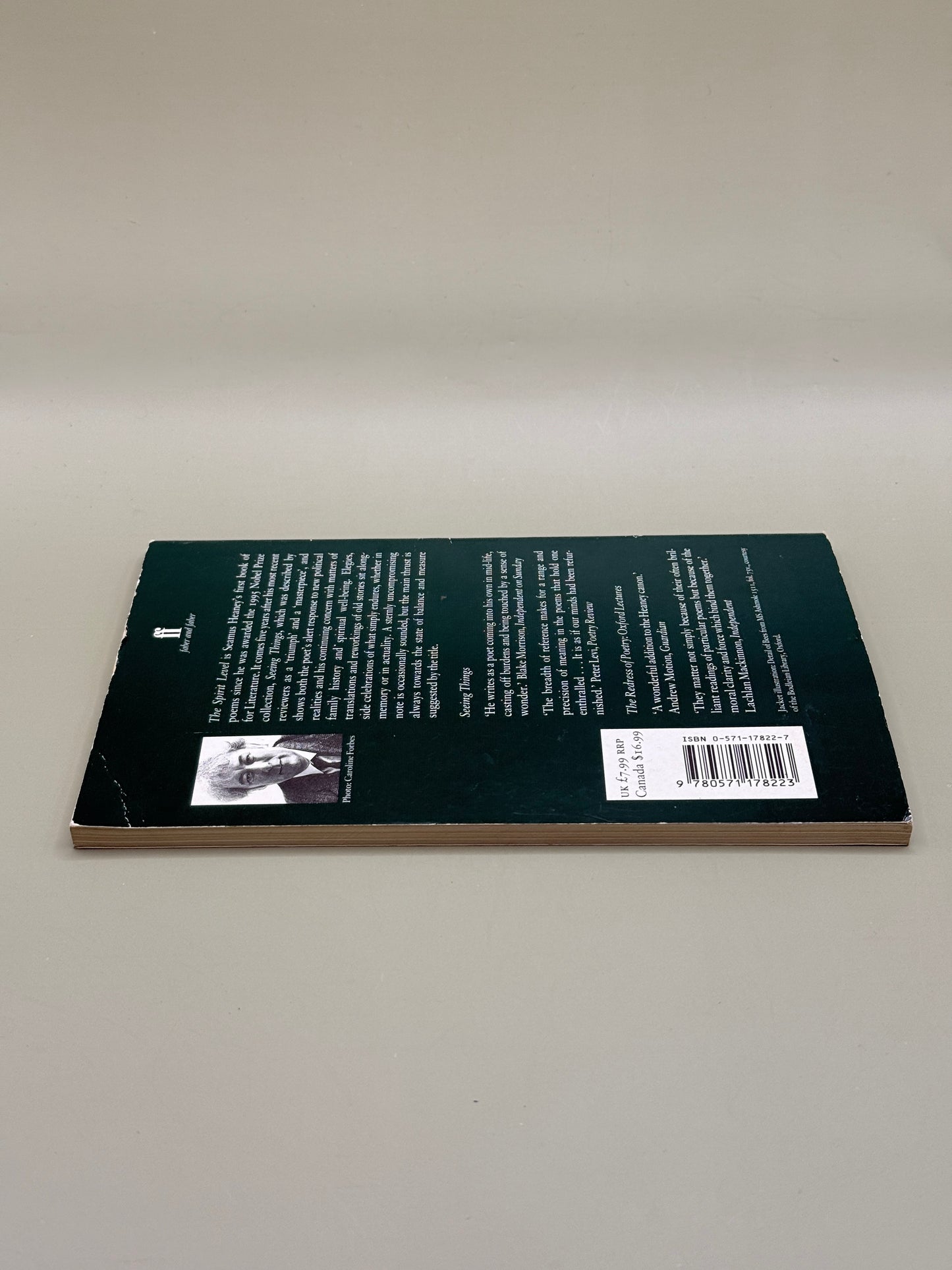 The Spirit Level by Seamus Heaney