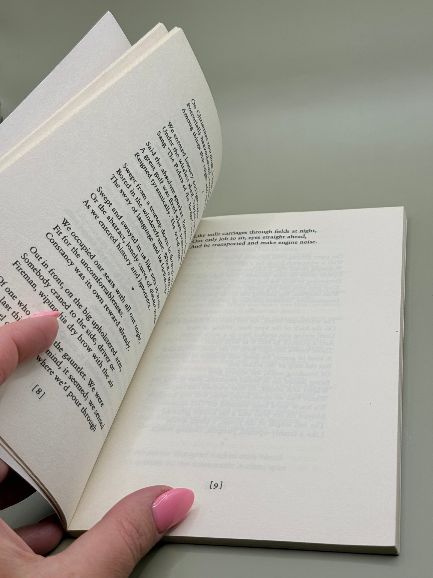 The Spirit Level by Seamus Heaney