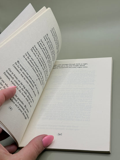 The Spirit Level by Seamus Heaney