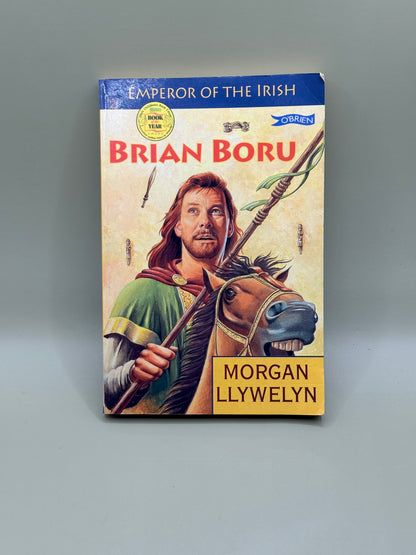 Brian Boru by Morgan Llywelyn