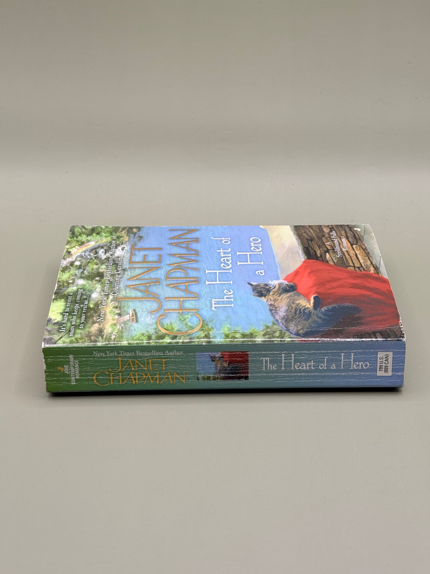The Heart of a Hero by Janet Chapman