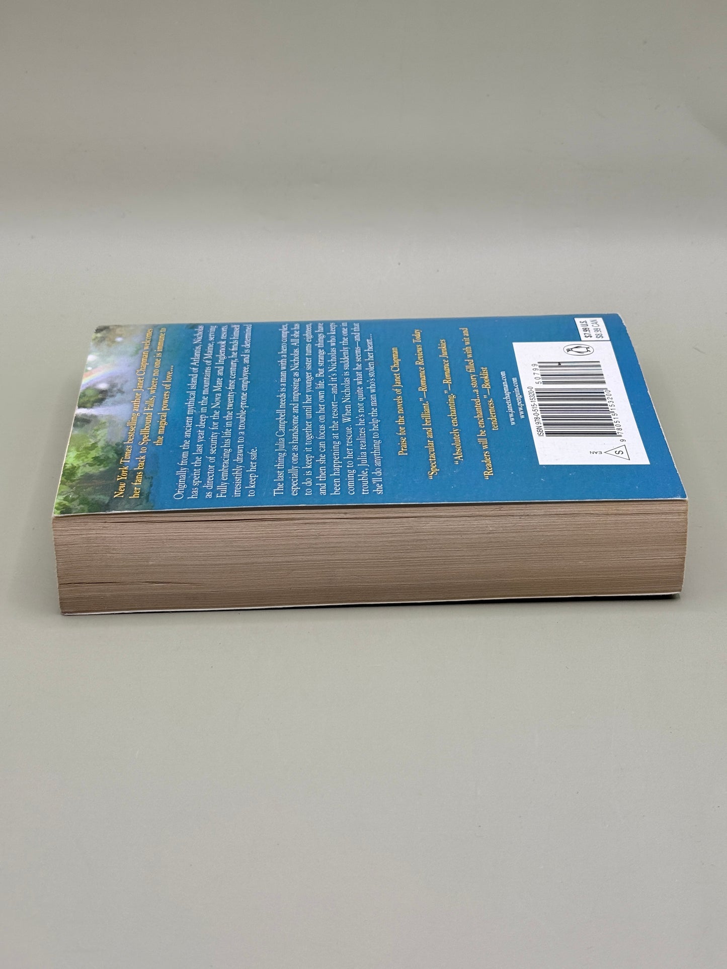 The Heart of a Hero by Janet Chapman