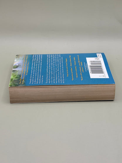 The Heart of a Hero by Janet Chapman
