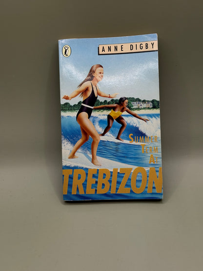 Summer Term at Trebizon by Anne Digby