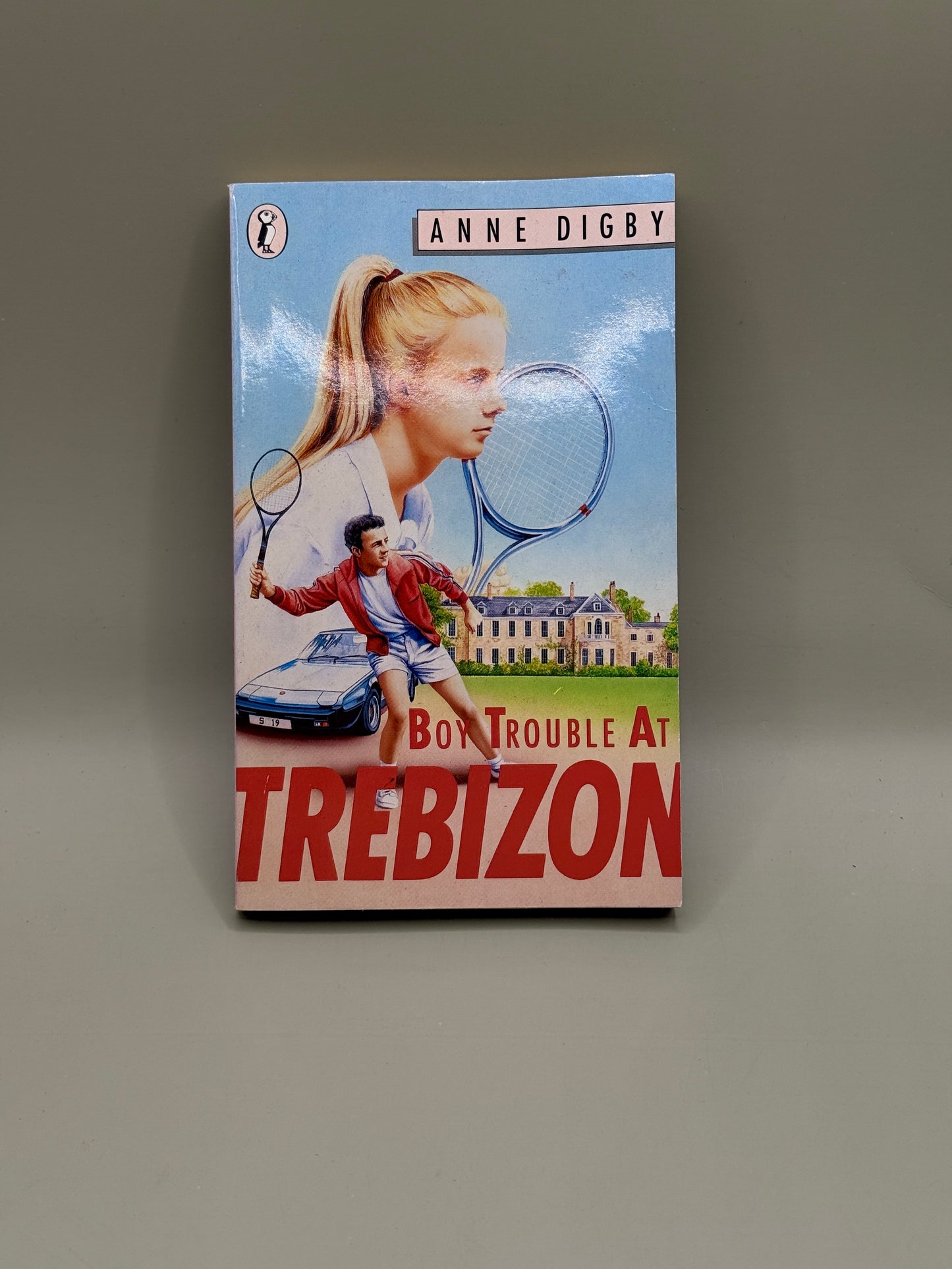 Boy Trouble at Trebizon by Anne Digby