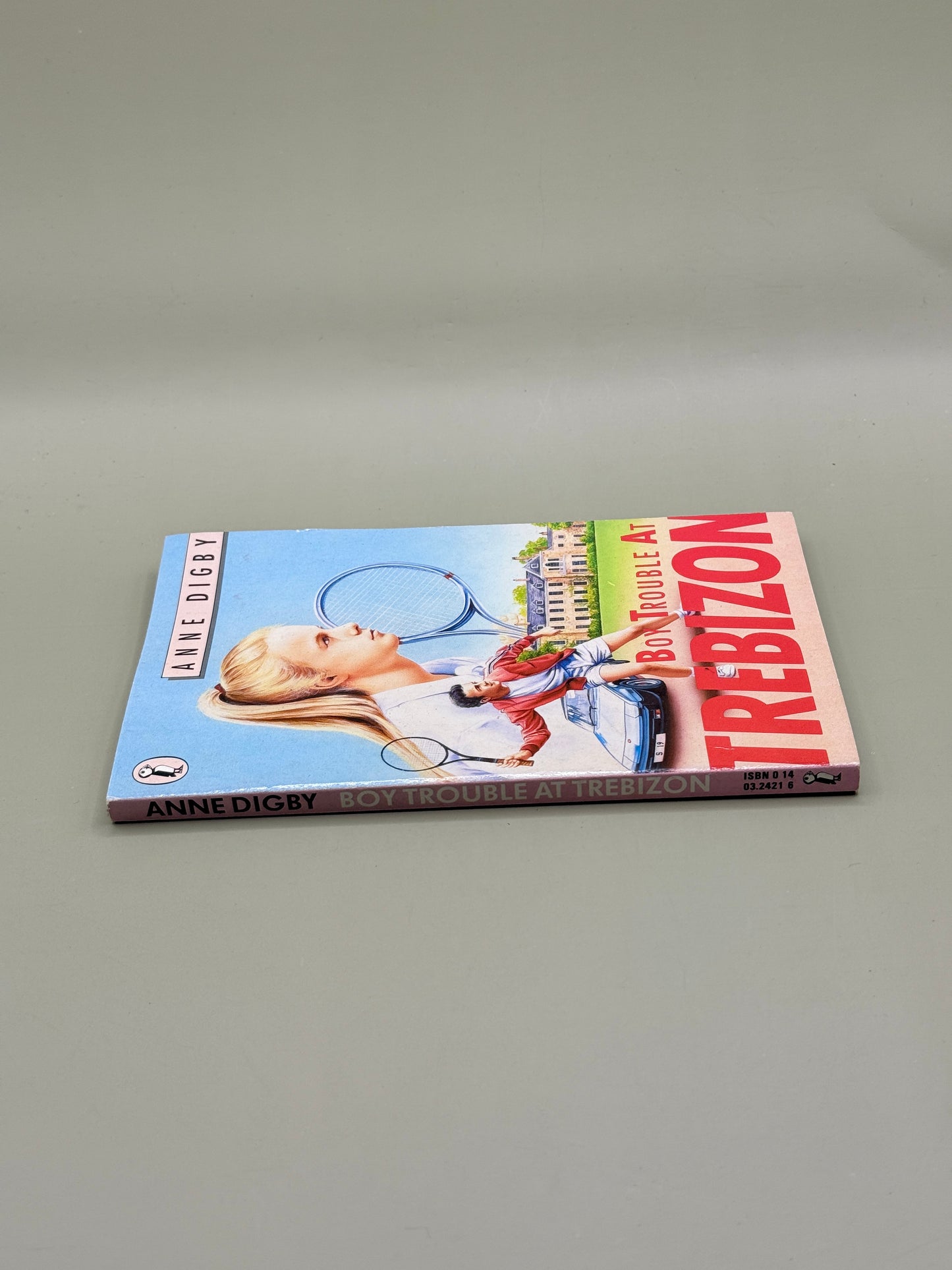 Boy Trouble at Trebizon by Anne Digby