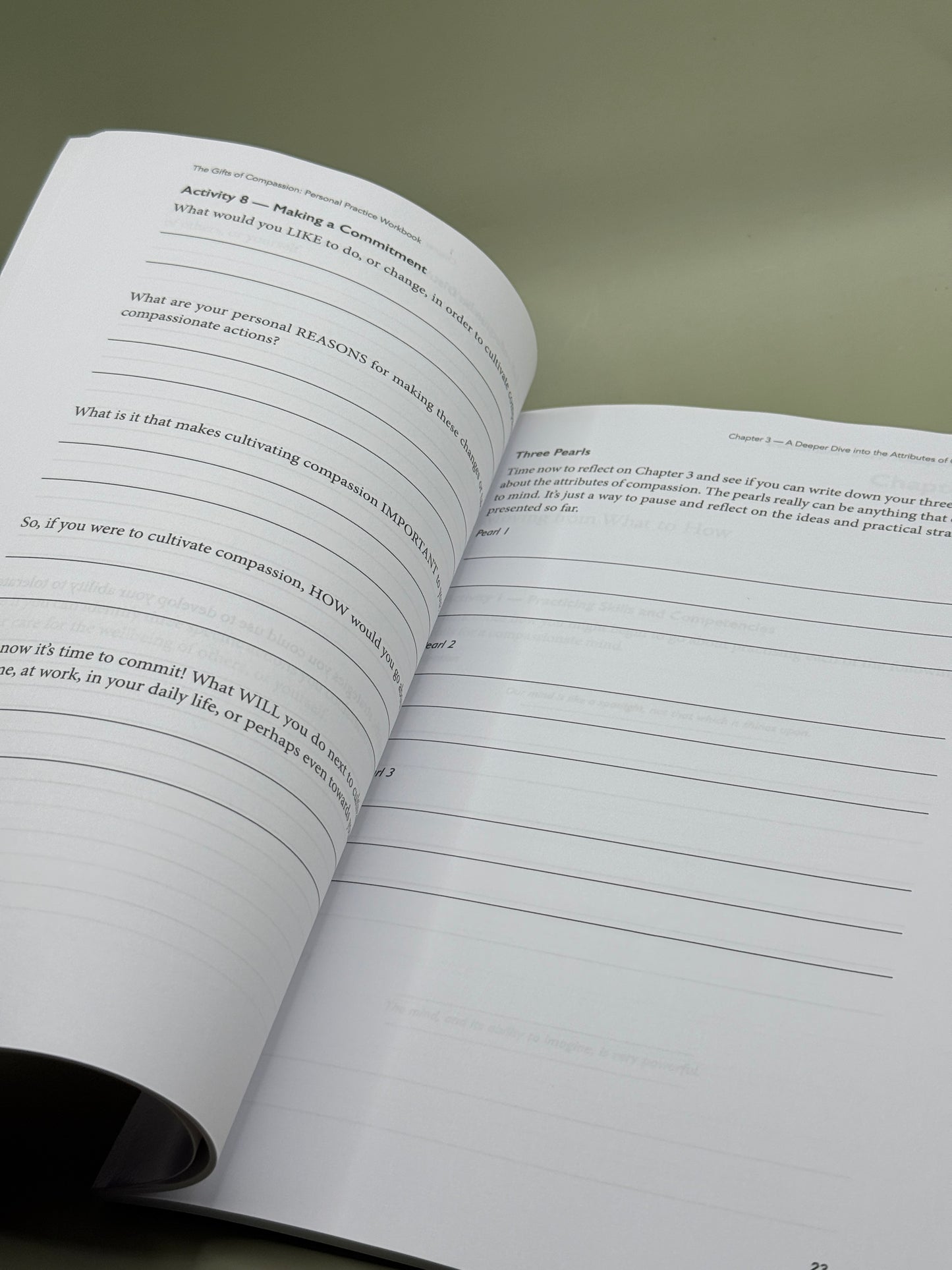The Gifts of Compassion Personal Practice Workbook by Stan Steindl