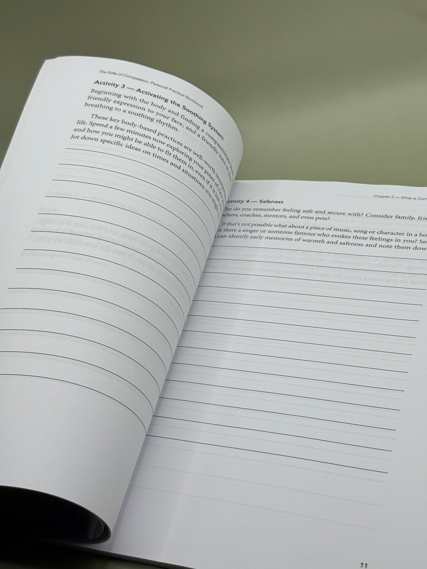 The Gifts of Compassion Personal Practice Workbook by Stan Steindl