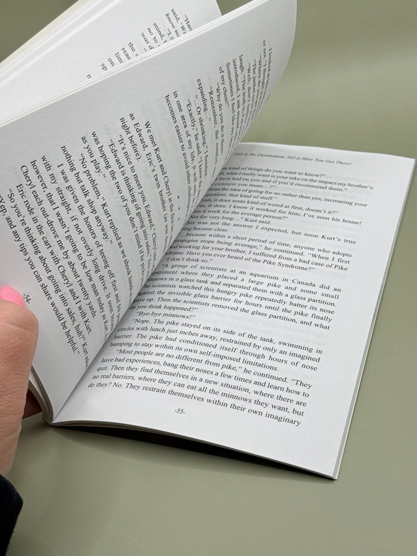 Go for No! by Richard Fenton & Andrea Waltz