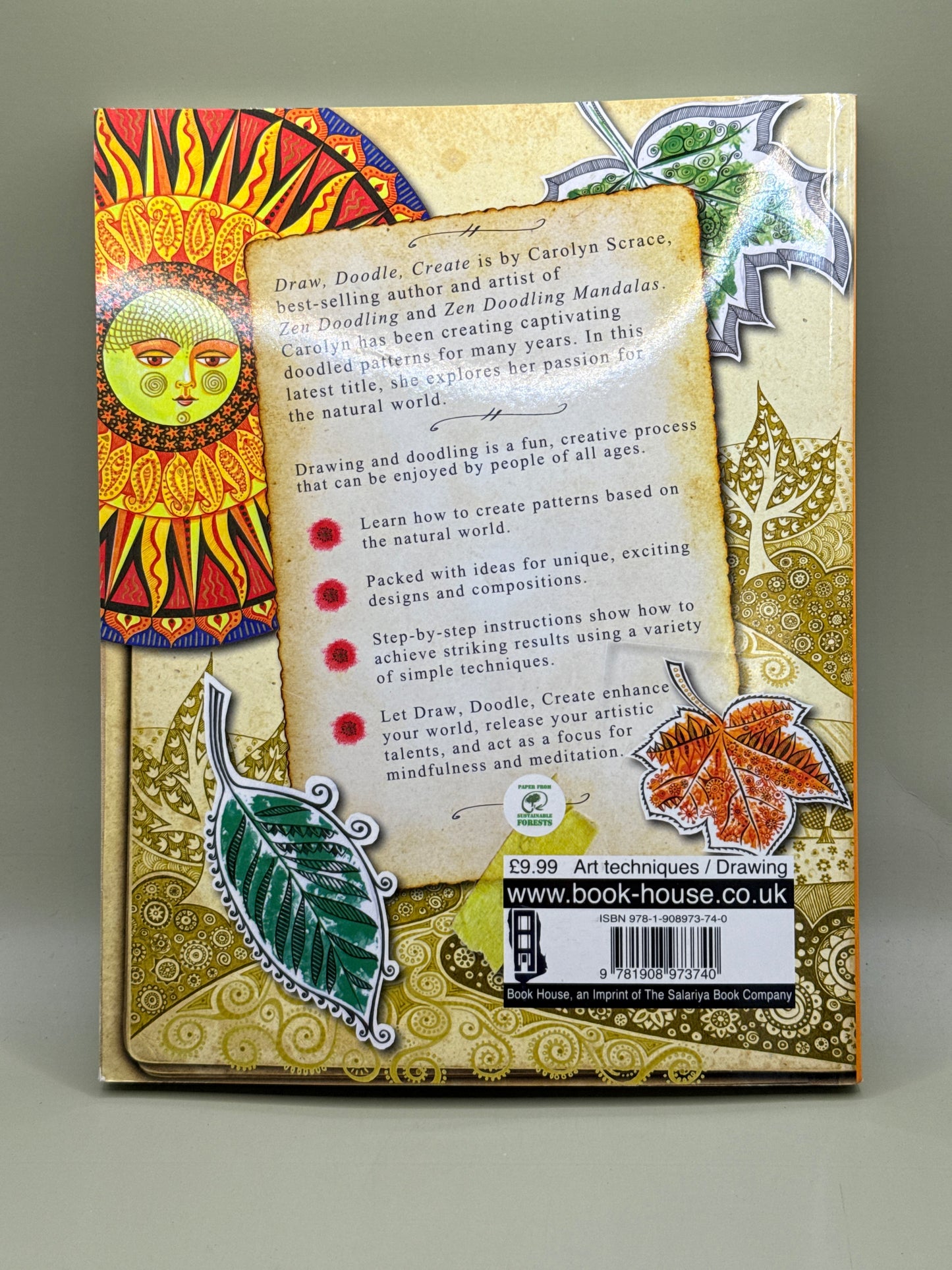 Draw, Doodle, Create: Beautiful Patterns from Nature by Carolyn Scrace