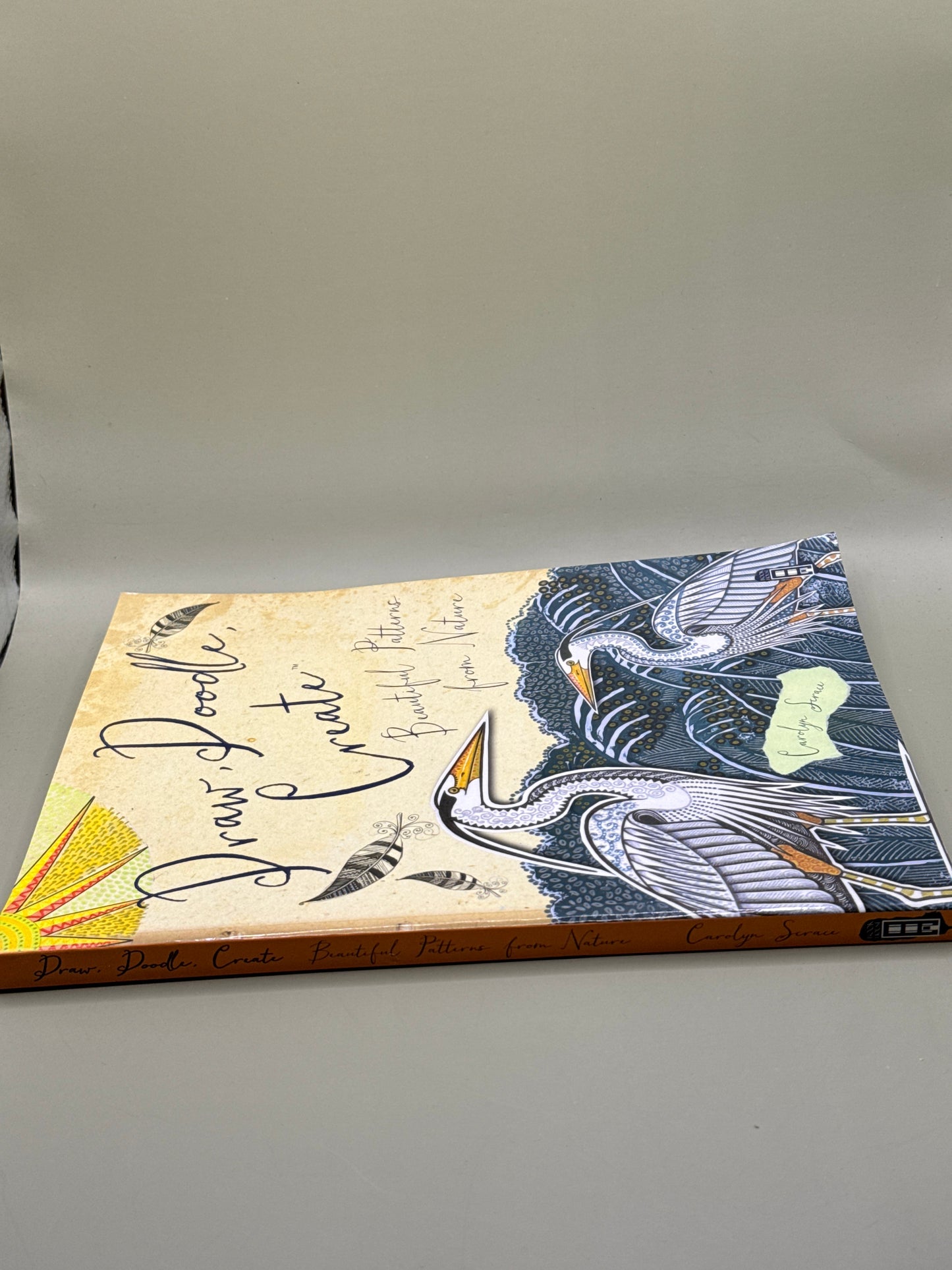 Draw, Doodle, Create: Beautiful Patterns from Nature by Carolyn Scrace