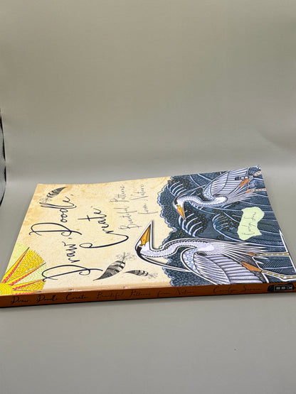 Draw, Doodle, Create: Beautiful Patterns from Nature by Carolyn Scrace