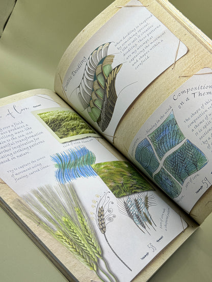 Draw, Doodle, Create: Beautiful Patterns from Nature by Carolyn Scrace