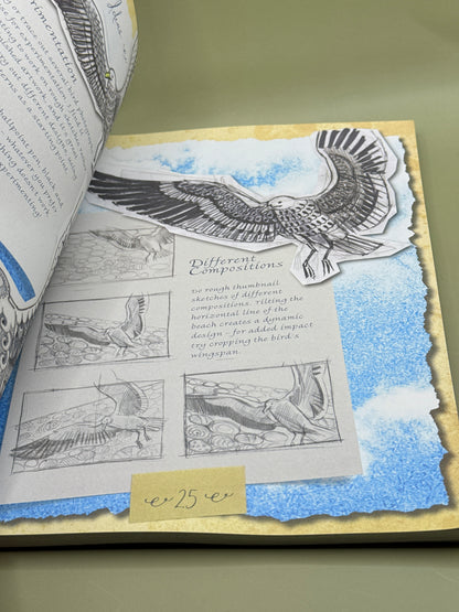 Draw, Doodle, Create: Beautiful Patterns from Nature by Carolyn Scrace