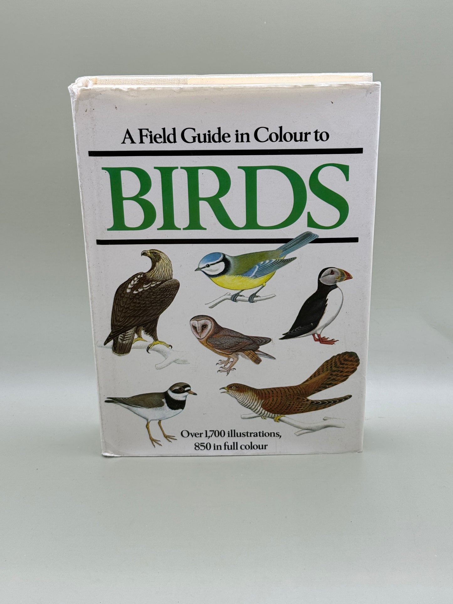A Field Guide in Colour to Birds by Peter Hayman and Rob Hume