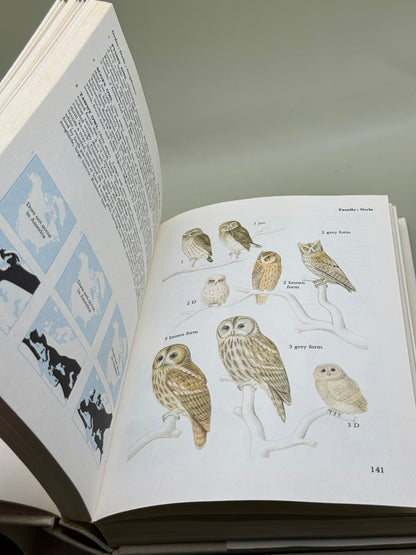 A Field Guide in Colour to Birds by Peter Hayman and Rob Hume