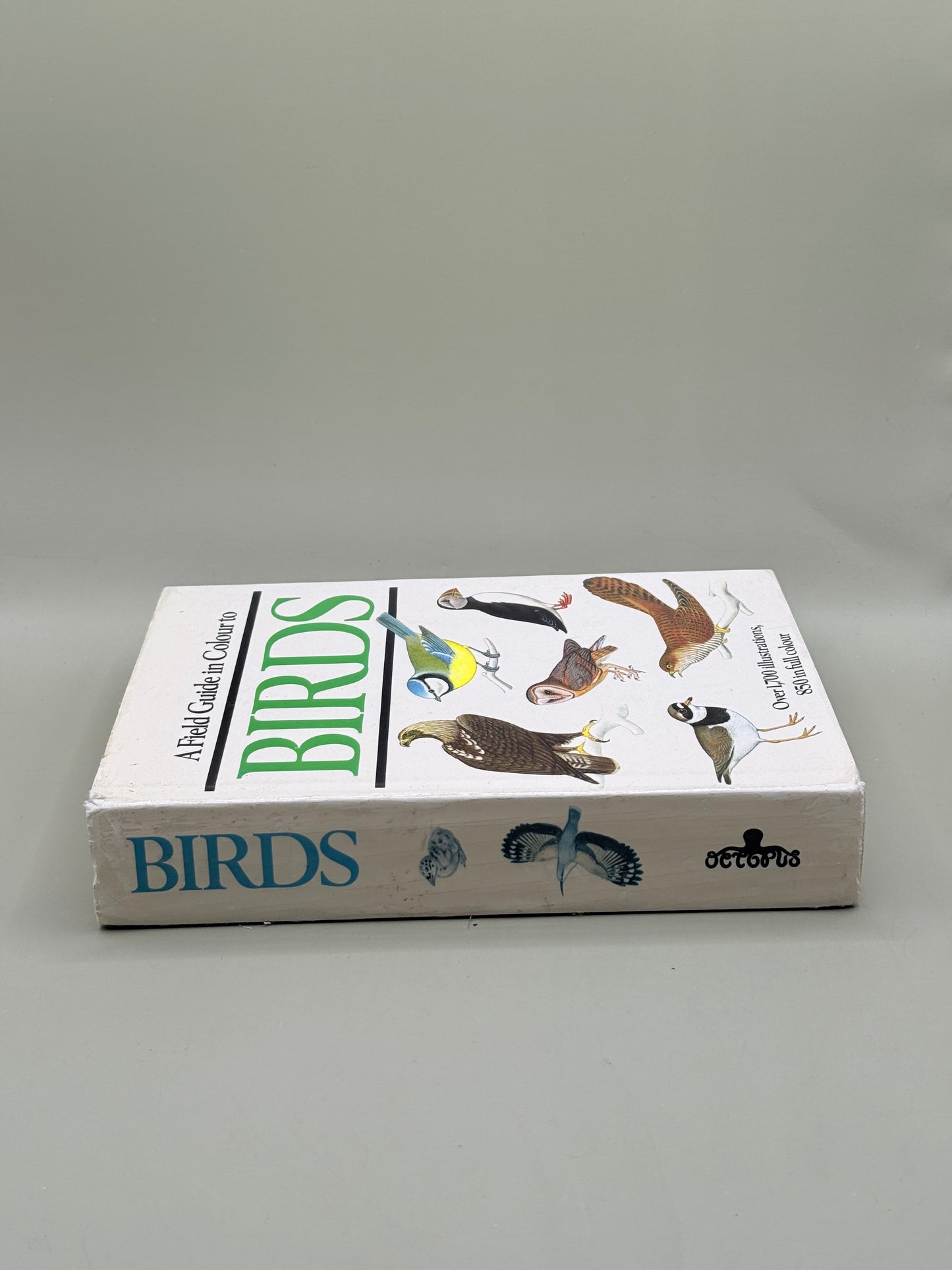 A Field Guide in Colour to Birds by Peter Hayman and Rob Hume