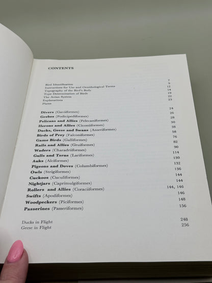 A Field Guide in Colour to Birds by Peter Hayman and Rob Hume