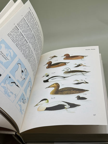 A Field Guide in Colour to Birds by Peter Hayman and Rob Hume