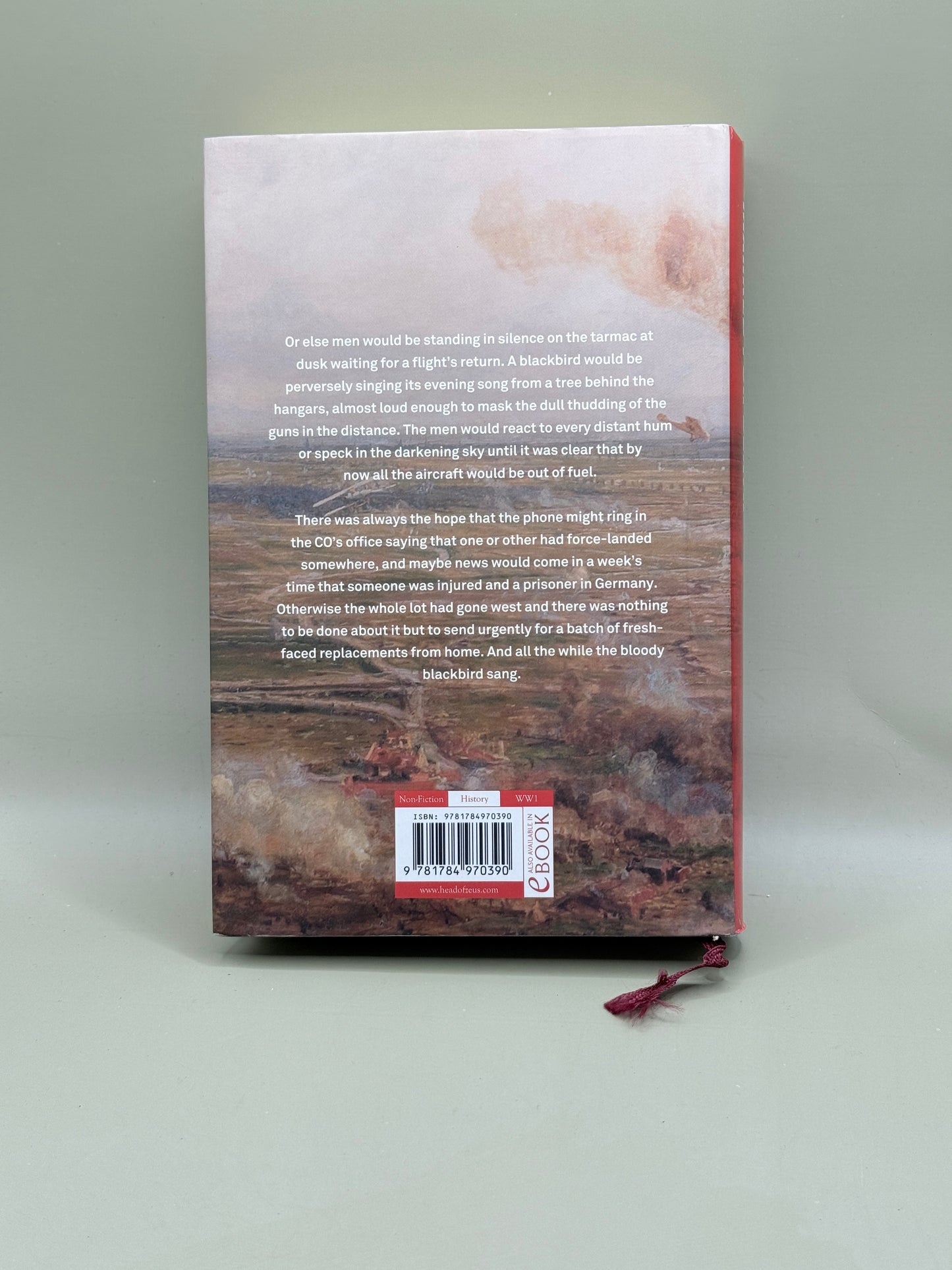 Marked for Death: The First War in the Air by James Hamilton-Paterson