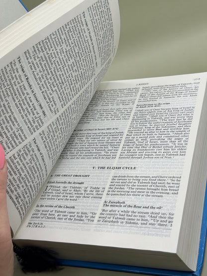 The New Jerusalem Bible Reader's Edition by Darton, Longman & Todd