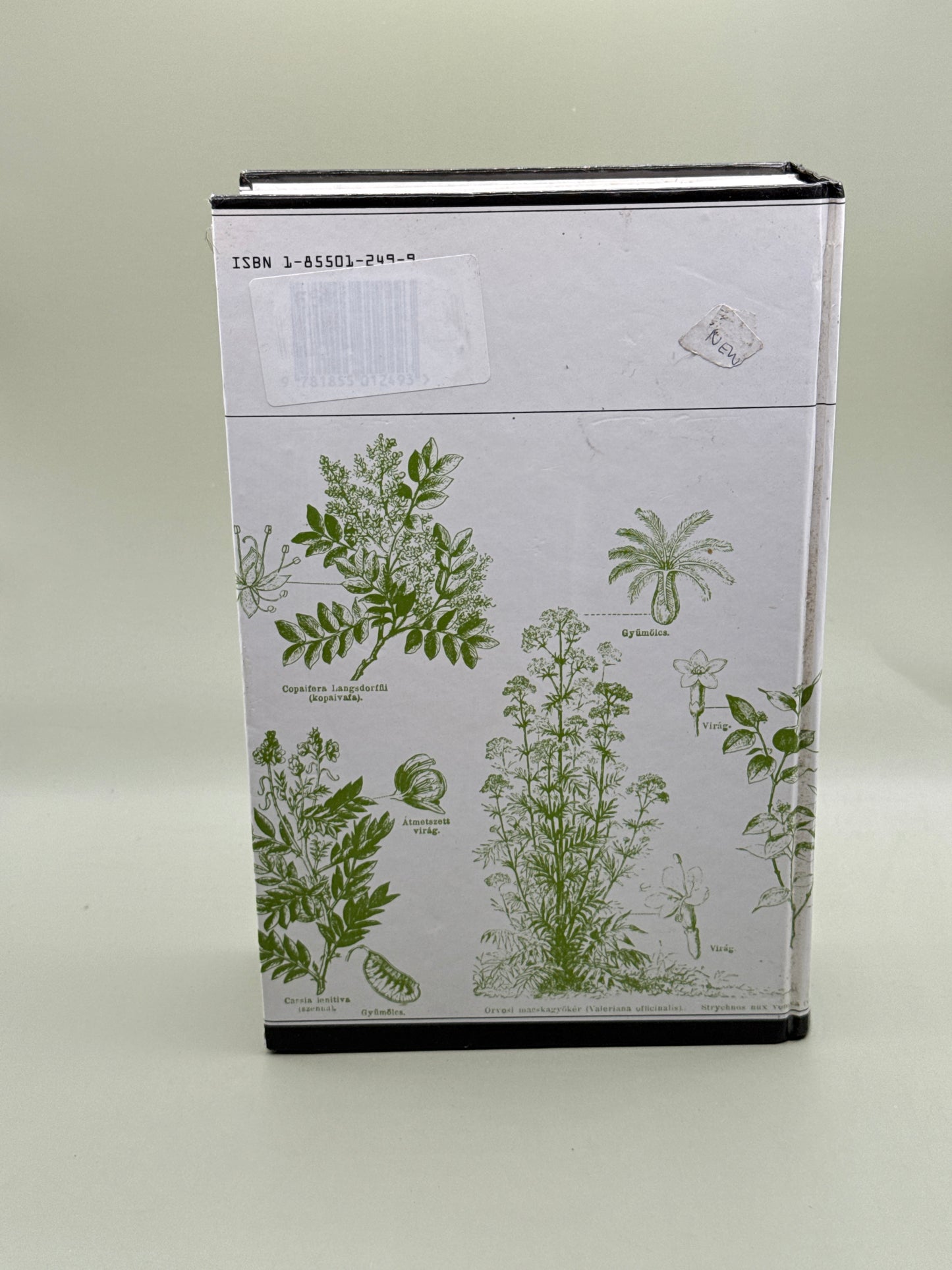 A Modern Herbal by Mrs M. Grieve