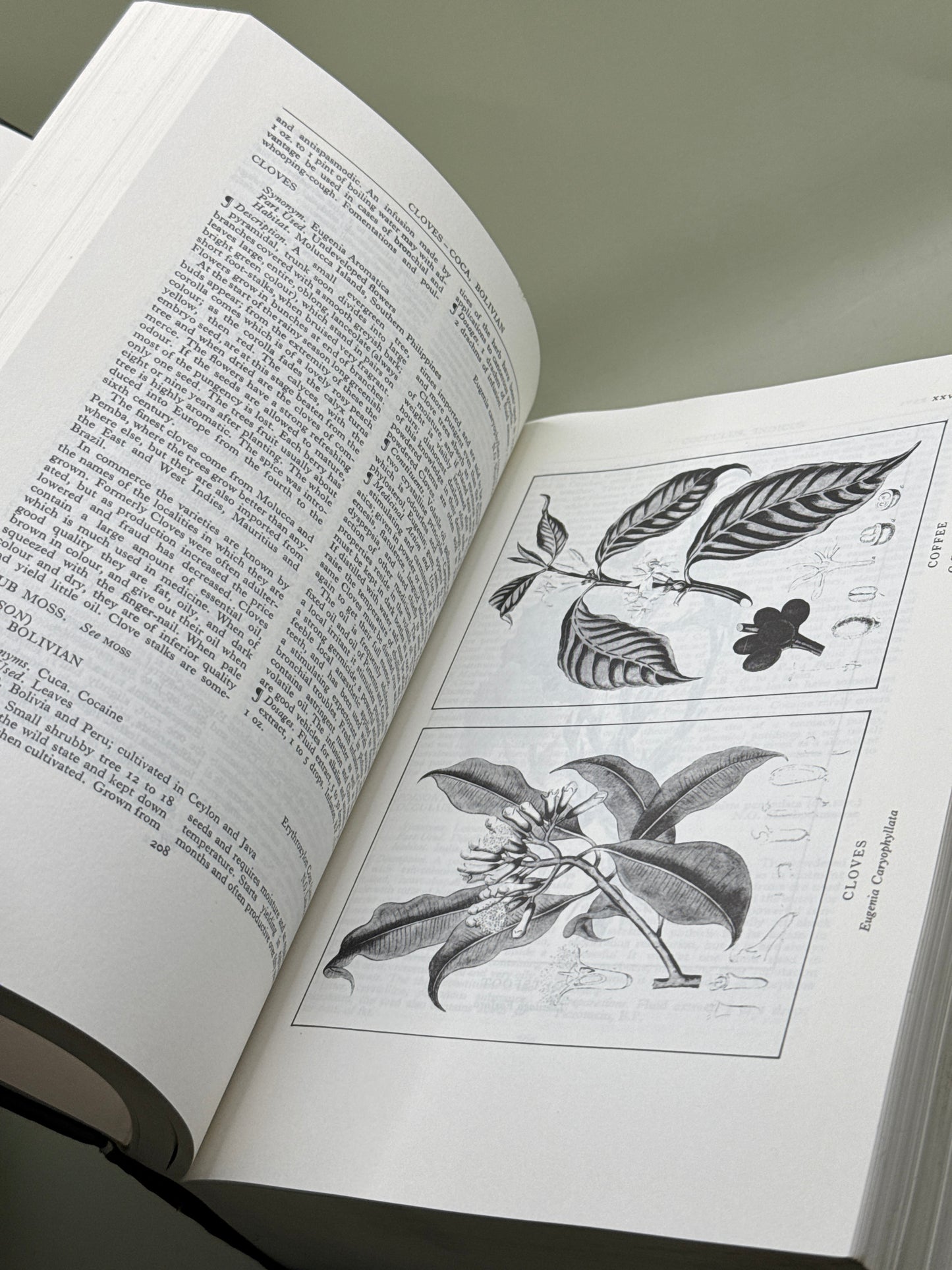 A Modern Herbal by Mrs M. Grieve