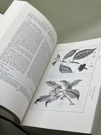 A Modern Herbal by Mrs M. Grieve