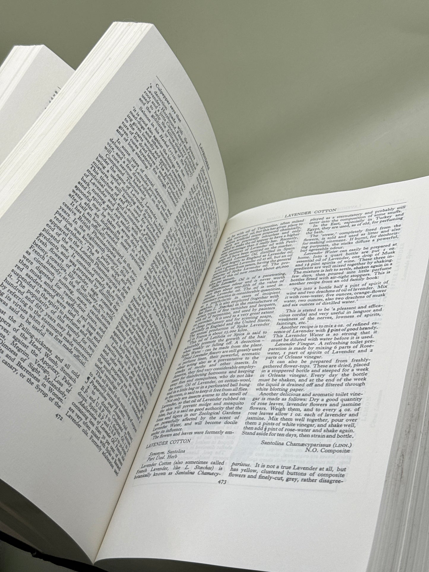 A Modern Herbal by Mrs M. Grieve