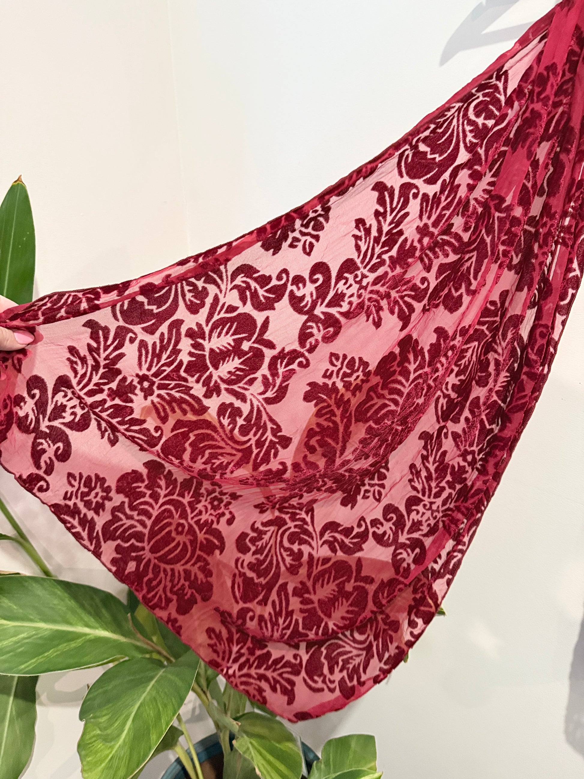 Velvet Burnout Scarf