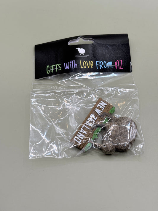 New Zealand Kiwi Souvenir Fridge Magnet