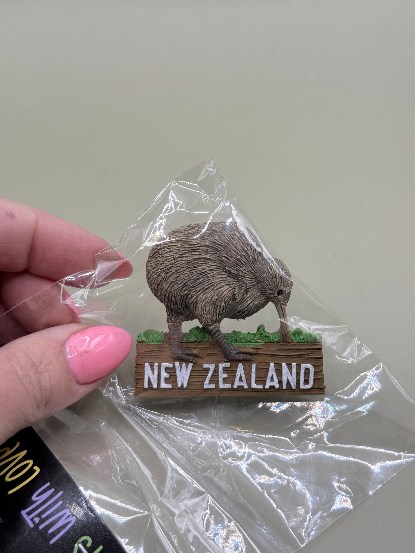New Zealand Kiwi Souvenir Fridge Magnet