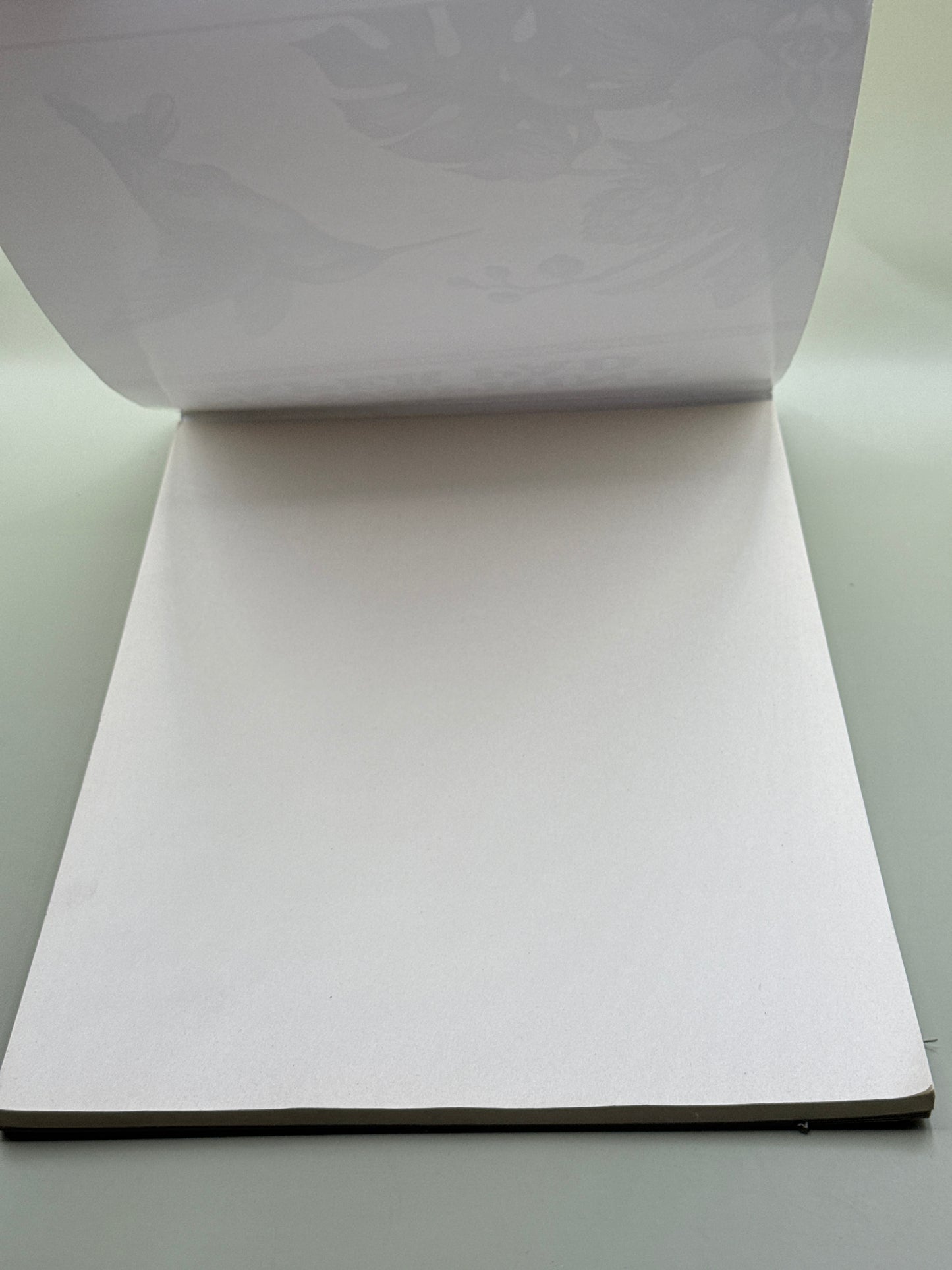 Reno Art Newsprint Paper Pad A4 80 Sheets