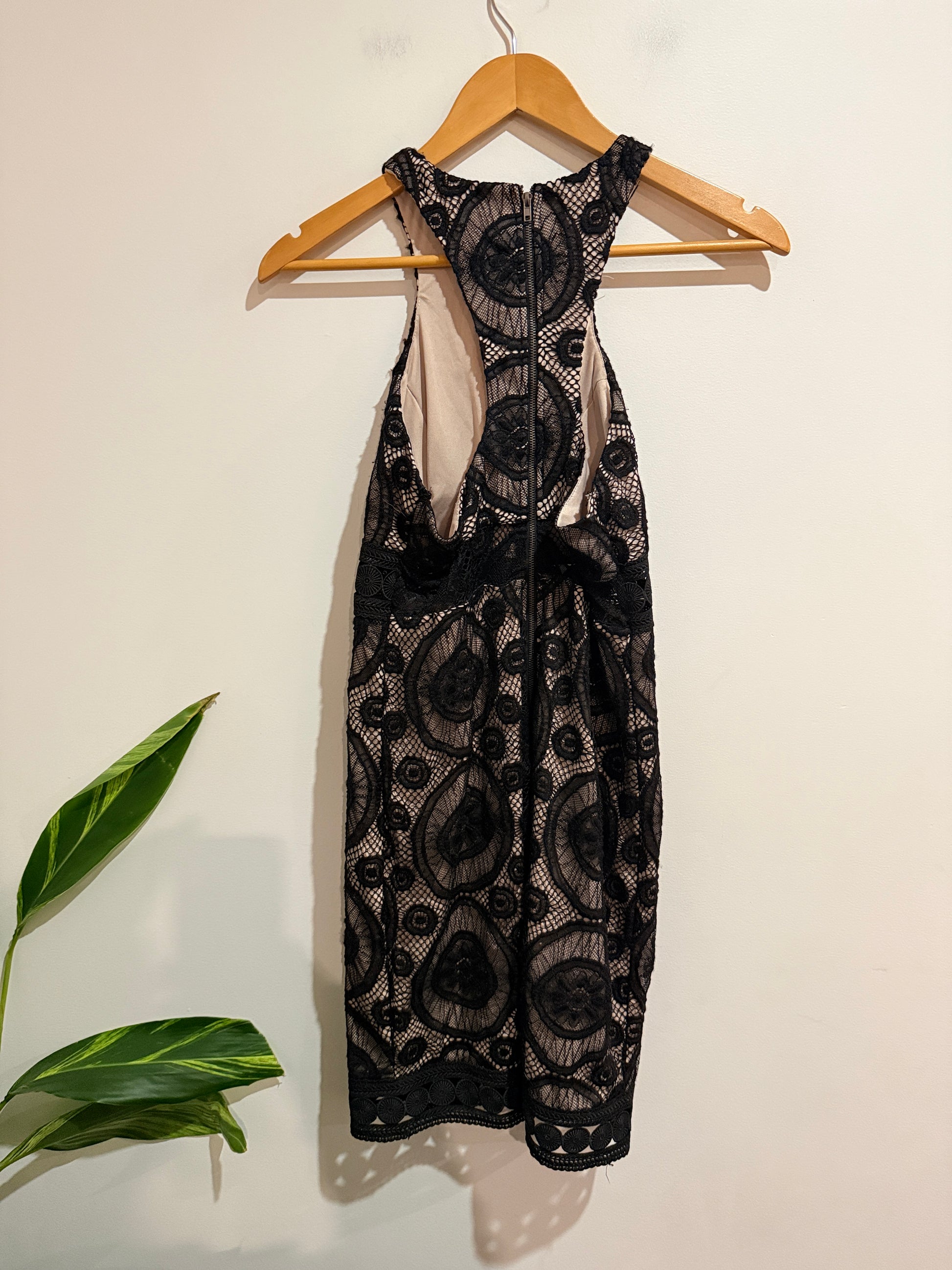 Dotti Lace Halter-neck Mini Dress Size 12