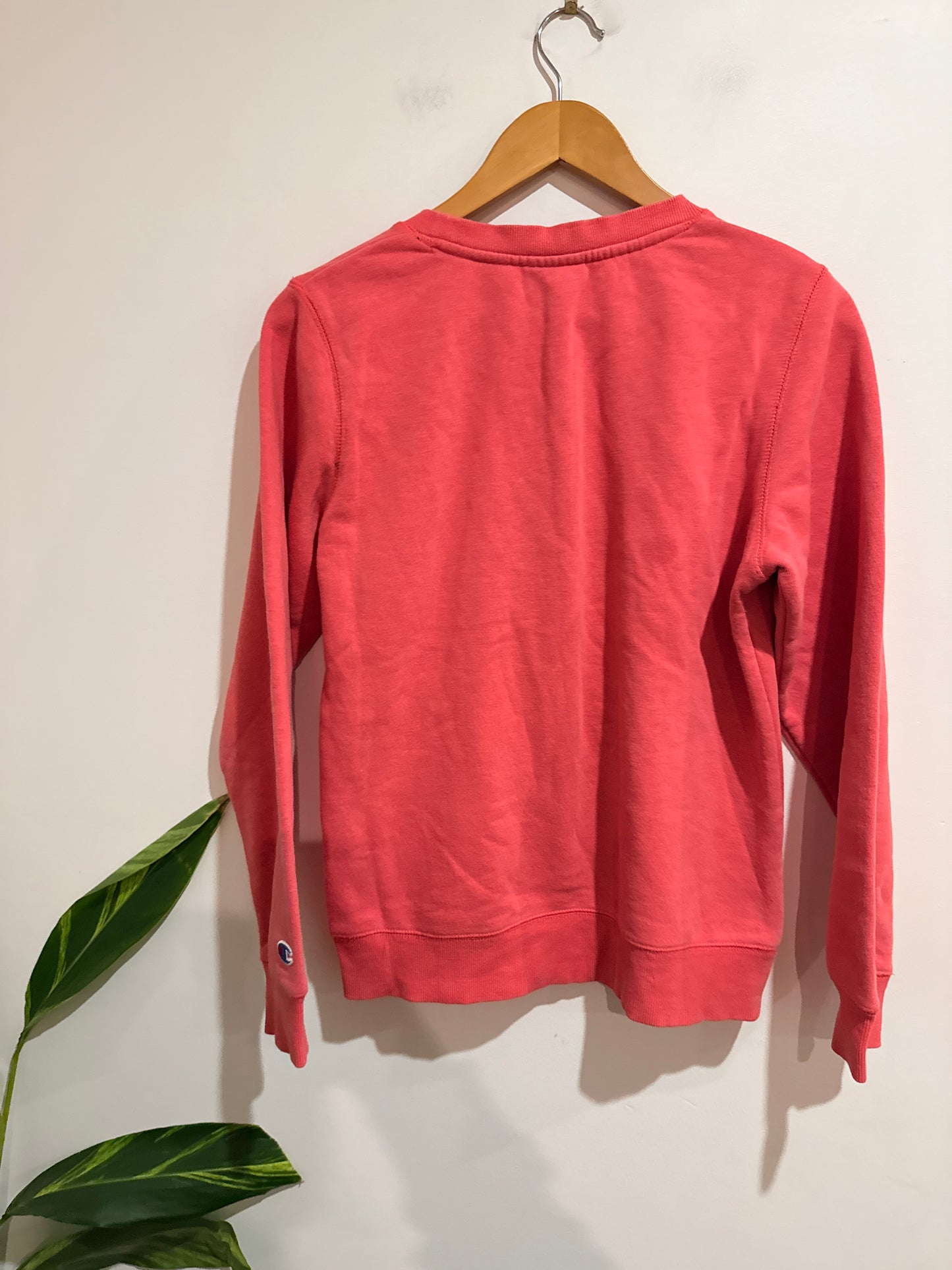 Champion Crewneck Sweatshirt Size S